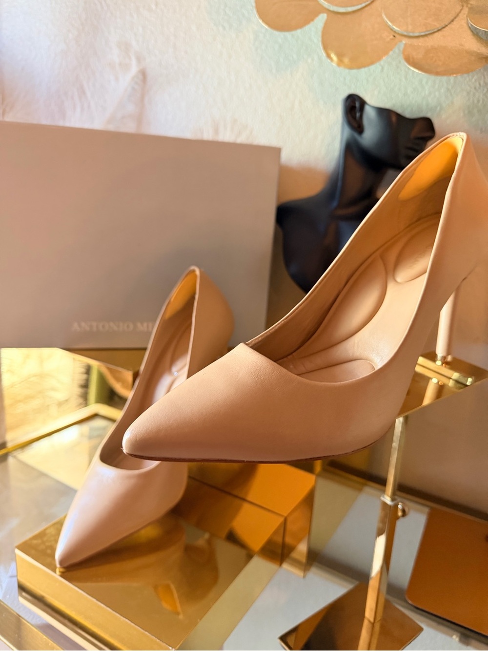 ANTONIO MELANI Blush Nude Pointed-Toe Stiletto Pumps - Picture 6 of 11